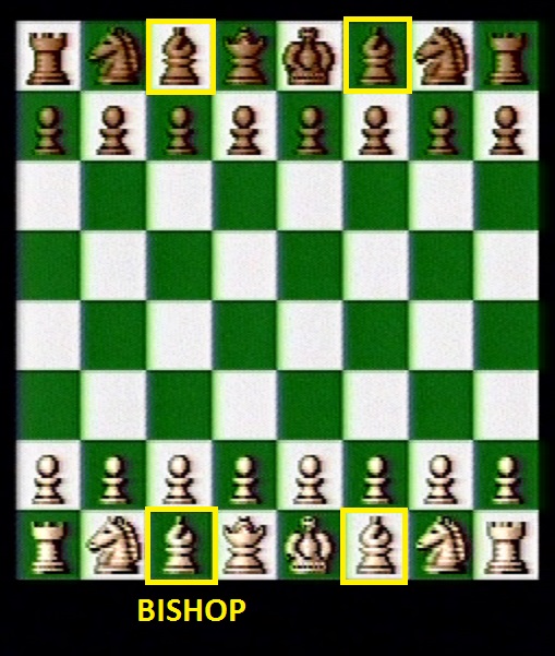 Beginning Bishop positions