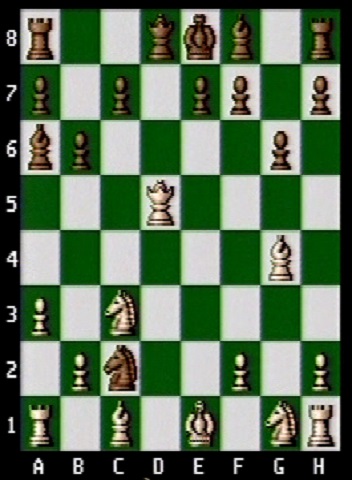 Check with a black knight.