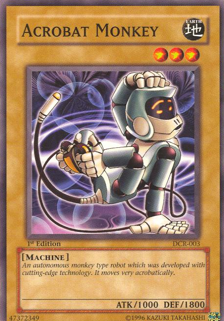 Acrobat Monkey