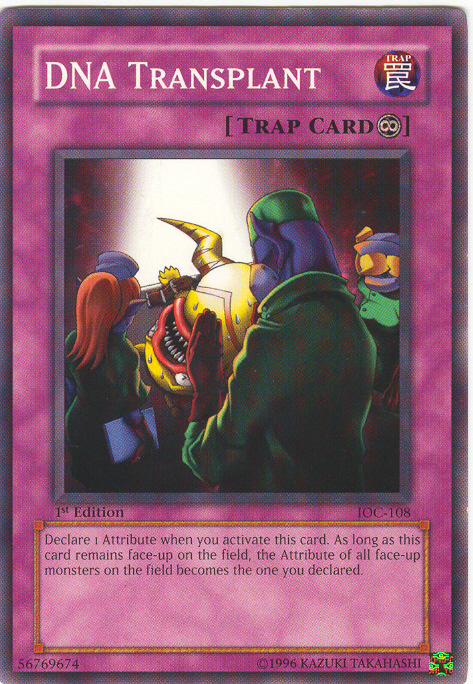 DNA Transplant